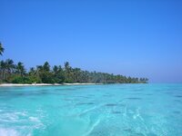 人の命って 本当に儚いものですね 突然の訃報を受けて つくづくそう思い Yahoo 知恵袋