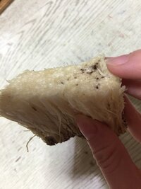 えのきの根元を切ったら黒かったのですがこれって大丈夫ですか ちなみに昨 Yahoo 知恵袋
