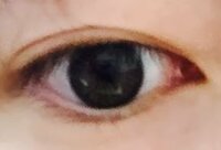 眼球と虹彩の大きさって個人差あるのでしょうか 黒目がよく大きいと Yahoo 知恵袋