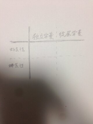 Yahoo!知恵袋生物について質問です
嫌気性従属栄養だの好気性独立栄養だのよく分からないので表を書いてみようと思ったところ、自力で完成させることが出来ませんでした
空欄には具体的な生物を書きた