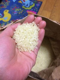 黄色い米は食べられます 2ヶ月前に友人からいただいた米があります Yahoo 知恵袋
