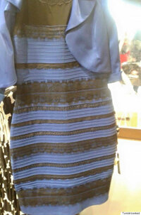 このドレス、あなたは何色に見えますか？（白 金？ 青 黒？） 