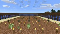 マインクラフトpeについて伺います 植林場を自分で作っ Yahoo 知恵袋