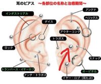 男はピアスの位置を少し下にすると良いと聞き 下にしたのは良いのですが外にズレ Yahoo 知恵袋