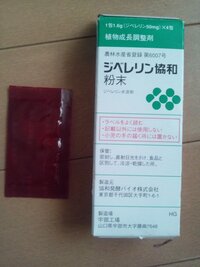 びっくりグミの木に花がたくさん咲きますが 実がほとんどつきません どうすれば Yahoo 知恵袋