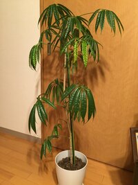 五つ子の父親の Nhk記者だった 確か 山下さん は 今何をしているので Yahoo 知恵袋