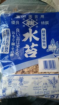 水苔はどこで売られてますか ホームセンターで乾燥ミズゴケは普通に Yahoo 知恵袋