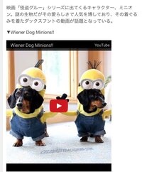 先日ユニバーサルスタジオジャパンに行ってきました そこでミニオ Yahoo 知恵袋