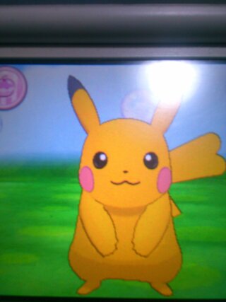 ポケットモンスターxyでずっと前ですけど色違いのピカチュウゲットしまし Yahoo 知恵袋