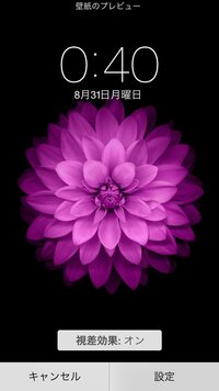 Iphone6のデフォルト壁紙として用いられているこの花の名前を Yahoo 知恵袋