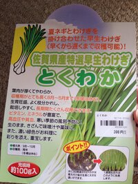 たわけぎの球根は食べられるのでしょうか 昨年植え今年の５月に掘 Yahoo 知恵袋