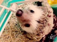 足湯について自宅で 風呂の時に体を洗っている間 足湯に浸かりたいのですが Yahoo 知恵袋