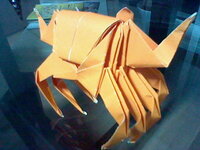 折り紙のカニの折り方この写真のカニの折り方を正確に教えてくだ Yahoo 知恵袋