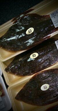 真カレイを使ったレシピで ちょっと変わったのがありましたら教えてくださ Yahoo 知恵袋