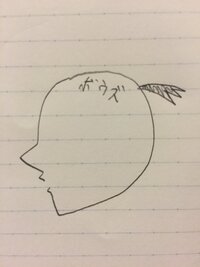 ちょんまげとポニーテールの違いを教えてください ちょんまげは勃起した陰茎 Yahoo 知恵袋
