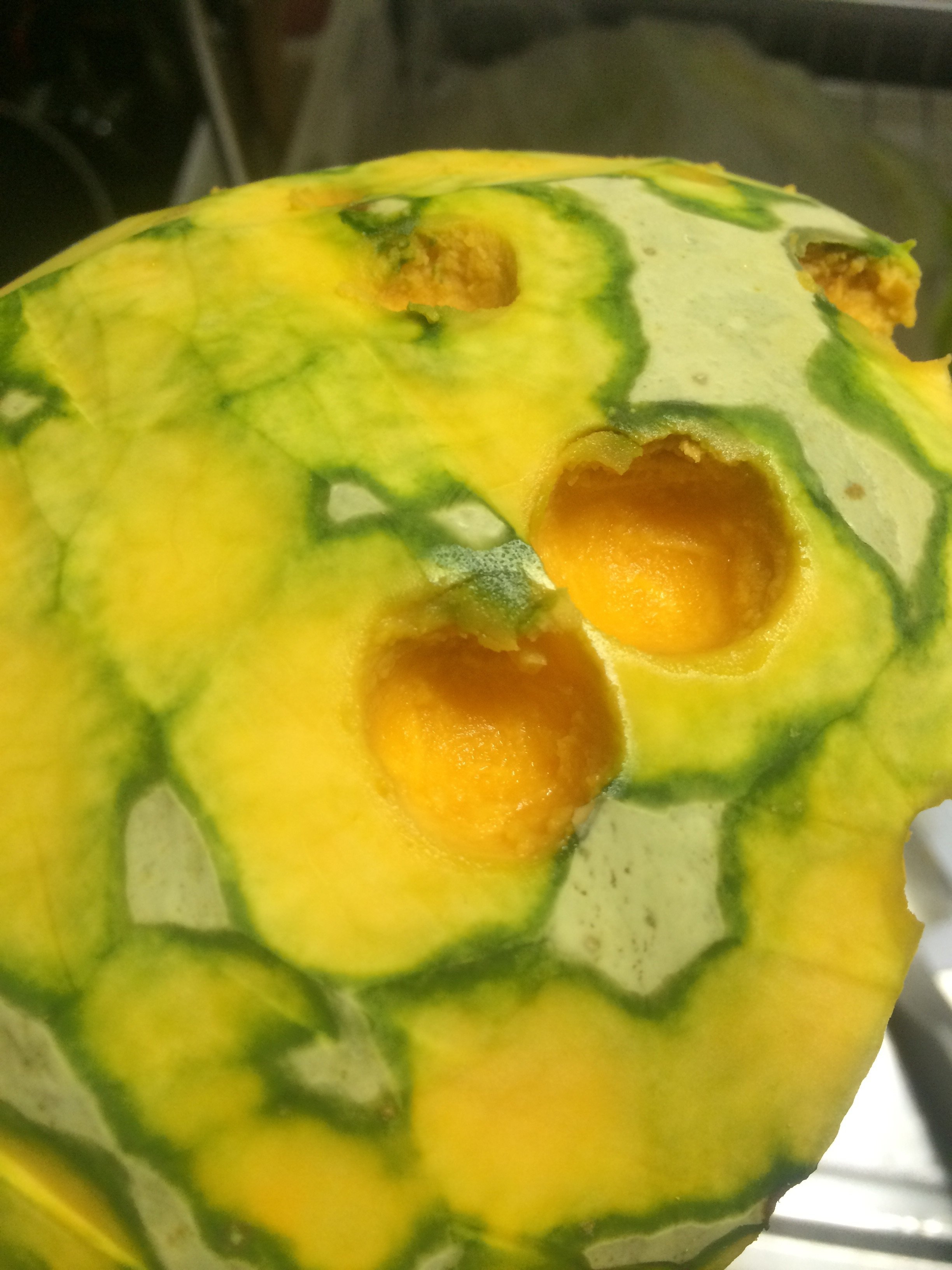 雪化粧かぼちゃというものを買ったのですが、煮てみたら皮に紙のような 