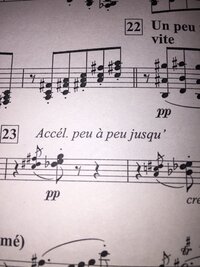 楽譜についての質問です。

今回コンクールの自由曲で、ディオニソスの祭りをやることになりました。
しかし、いざ譜読み！と思ったら、全く意味のわからない単語ばかり出てきます。
なので 教えていただきたいのですが、

Lent ♩＝54
approximativement
1 player opt. B.Cl
Accélérez légérement
a2 opt. B.Cl...