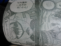 ビックマムの手下のライオンはゾウ出身者でしたね それでサンジ Yahoo 知恵袋