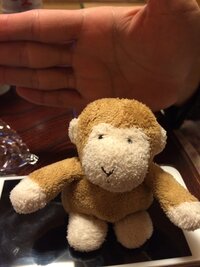 昔ゲームセンターで取ったサルのぬいぐるみについての質問です Yahoo 知恵袋