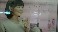 うめほのりの広告に載っている この猫の種類は何だと思いますか Yahoo 知恵袋