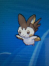 ポケモンの色違いについて エモンガ 色違い やヒノアラシ Yahoo 知恵袋