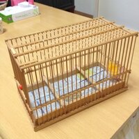 文鳥を飼っているのですが 竹ひごを使った鳥かごの作り方を知ってい Yahoo 知恵袋