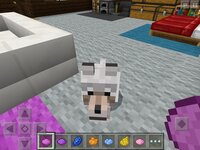 Minecraftで飼い慣らした狼が１０匹いるのですが いつからか Yahoo 知恵袋