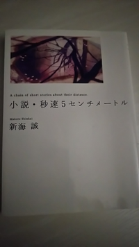 新海誠さんの作品 秒速5センチメートル 言の葉の庭など は映 Yahoo 知恵袋