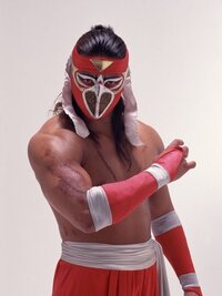 ハヤブサが新日本プロレスに移籍していたら、どのような活躍をし