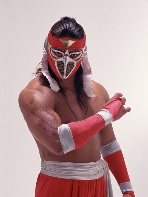 ハヤブサが新日本プロレスに移籍していたら、どのような活躍をし