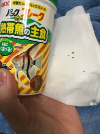 白メダカとネオンテトラを飼ってるんですが 最近白メダカが熱帯魚用のフレ Yahoo 知恵袋