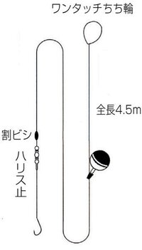 延べ竿で鯉釣りをしています おもりベタ仕掛けで上ハリが練り餌 下針がコーンで Yahoo 知恵袋