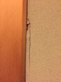 土壁のヒビとか剥がれてきているのはどうしたらいいですか Yahoo 知恵袋