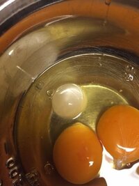 これは何でしょうか 卵を割ったら中から丸いぷよぷよの白い物体が出てきま Yahoo 知恵袋