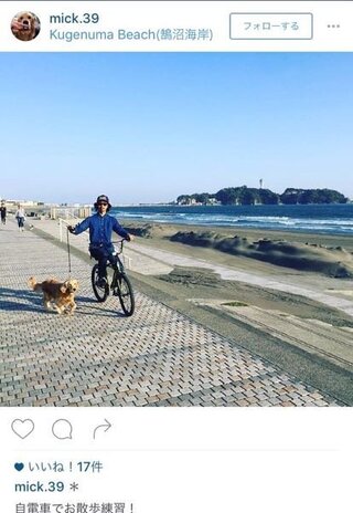 自転車で犬の散歩は道路交通法違反だっけ Inst Yahoo 知恵袋