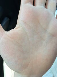 手相家の方に質問です私は女性ですさっき妹と手相を見せあっていたら 生命 Yahoo 知恵袋