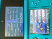 ポケモンdpについて ただいまヒードラン厳選をしているのですが控え Yahoo 知恵袋