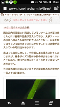 すいません私は チャームで水草を買いたいんですけど その水草の欄に害虫 Yahoo 知恵袋