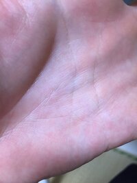 最近 右手の真ん中に三角形ができました 何か意味があるのでしょうか よけ Yahoo 知恵袋