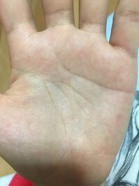 手相占いお願いします 三本に分かれた頭脳線は 俗に最強 Yahoo 知恵袋