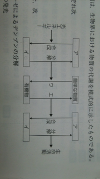 高校生物基礎atpの生産についてです 図で光合成で作った有機物を用いて Yahoo 知恵袋