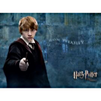 このハリーポッターのロンウィーズリー高画質の画像もってるかた Yahoo 知恵袋