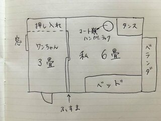 室内飼いのトイプードルのにおい移りについて 一戸建て住宅の二階の Yahoo 知恵袋