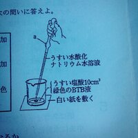 赤ちゃんの身長の測り方について質問です 赤ちゃん専用の身長計で身長を Yahoo 知恵袋