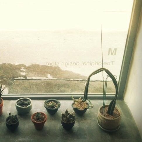 この画像をラインの背景に使う人を多数見かけます。このラインの背景は 