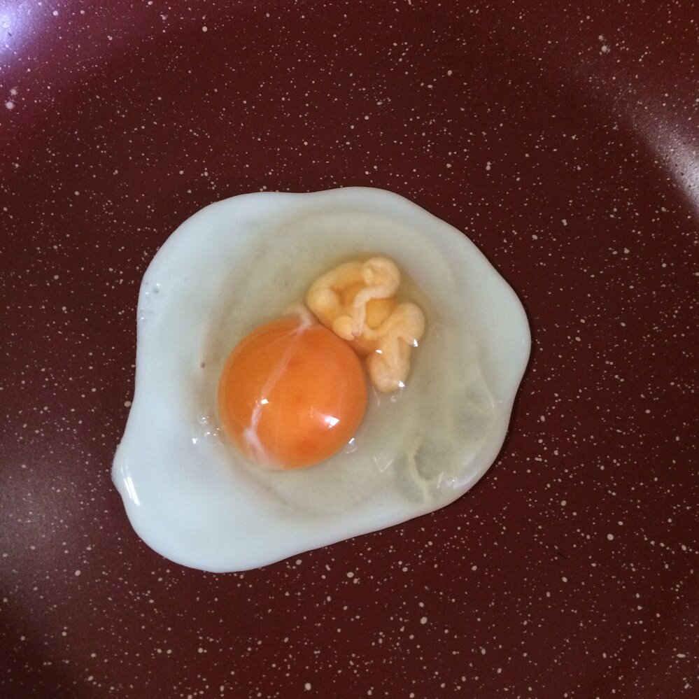 卵の黄身様なページ 初産み卵 40個入】レモン色の黄身！昔ながらの美味しい「平飼い