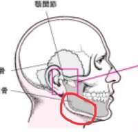 この 赤丸で囲ってあるところはなんて言うんですか 顎ではない Yahoo 知恵袋