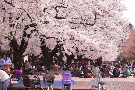 大東亜帝国を首席で卒業するのと 早慶をやっと卒業するのでは どち 教えて しごとの先生 Yahoo しごとカタログ