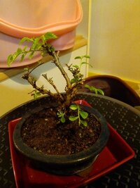山地悠紀夫さんの写真を見て 一目惚れしてしまいました でもこの Yahoo 知恵袋