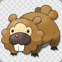 ポケモンgoにビッパがいません どうしてくれるんですか Yahoo 知恵袋